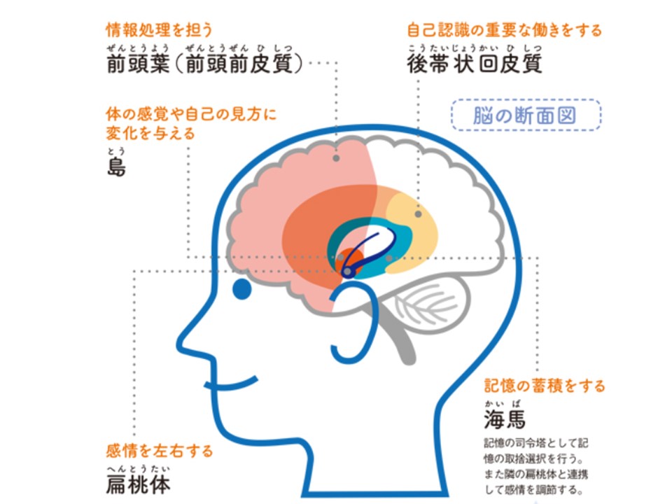 画像に alt 属性が指定されていません。ファイル名: %E3%83%97%E3%83%AC%E3%82%BC%E3%83%B3%E3%83%86%E3%83%BC%E3%82%B7%E3%83%A7%E3%83%B31-9.jpg